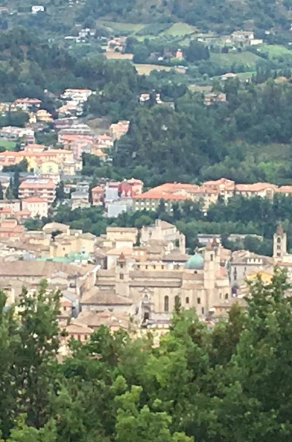 L’Acerba B&B Ascoli Piceno Bagian luar foto